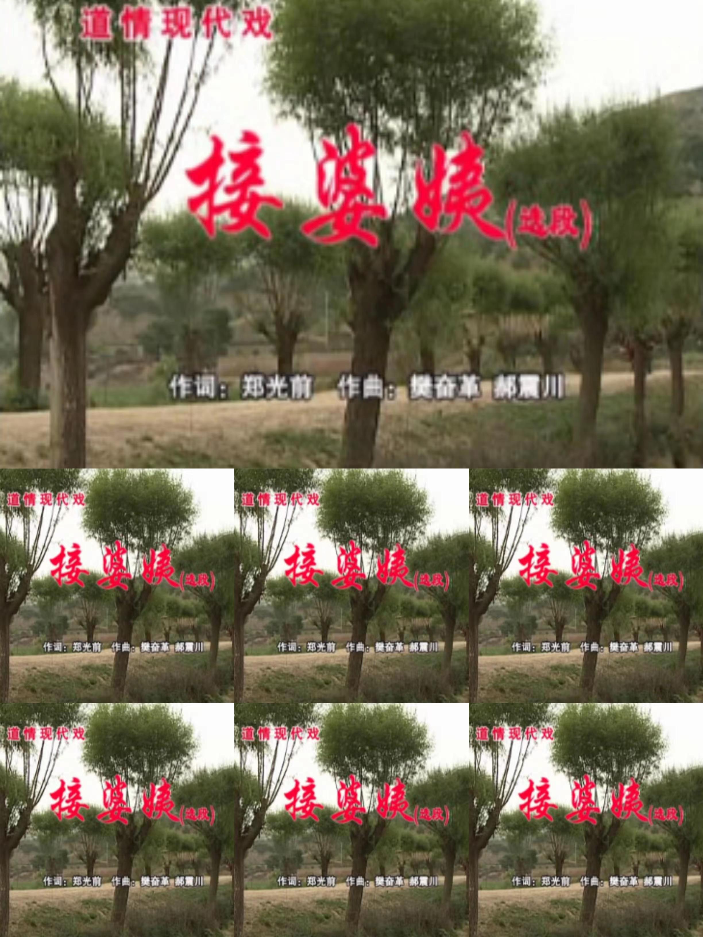 接婆姨